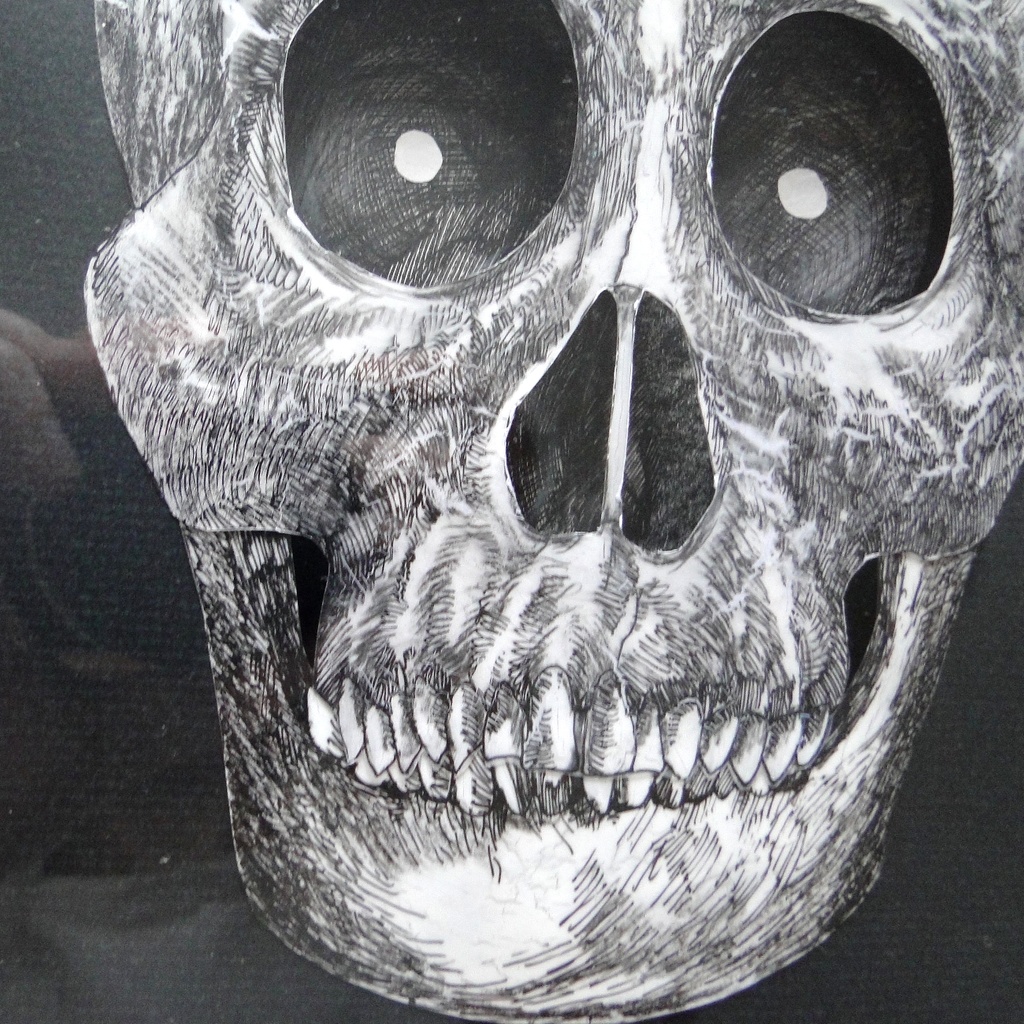 奥行きのある頭蓋骨の絵画 アート 原画 アクリルフレーム モノクロ ペン画