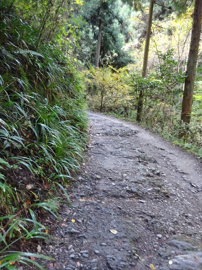 高尾山写真素材集