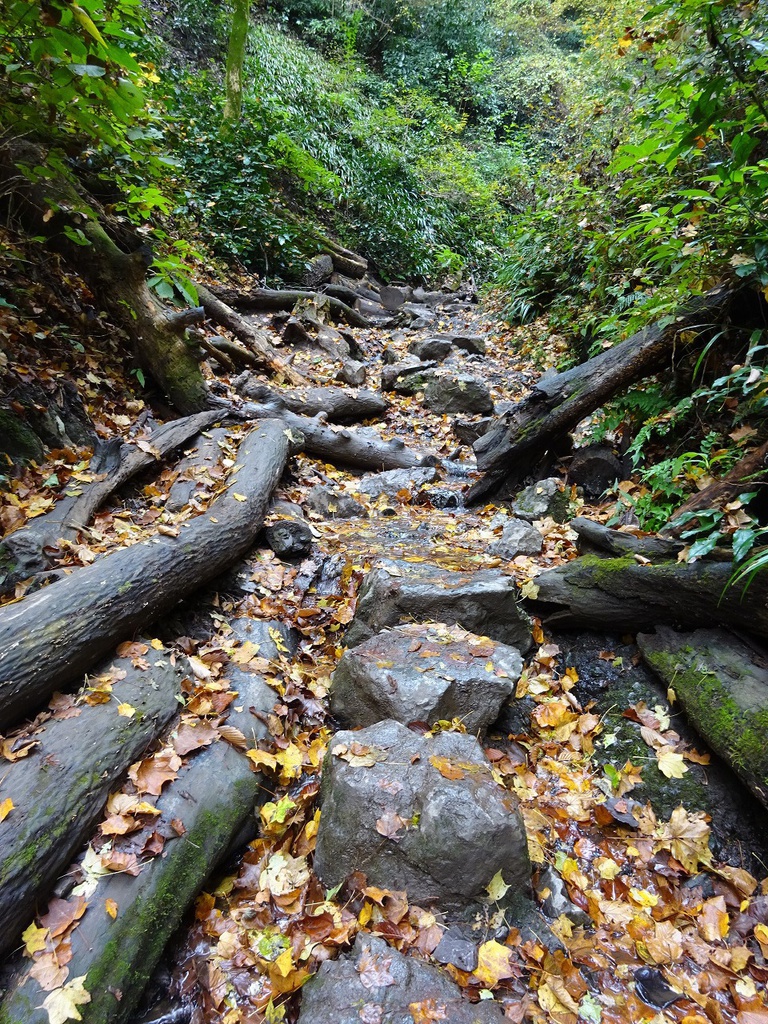 高尾山写真素材集