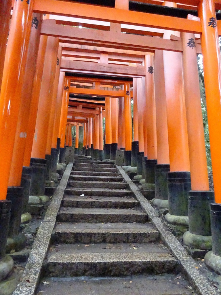 京都 / 宇治・伏見写真素材集