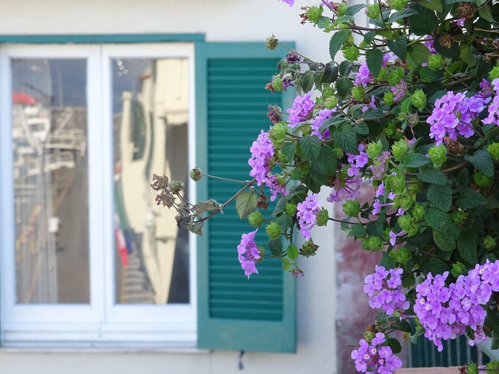 ヨーロッパ船旅写真素材集【無料版】