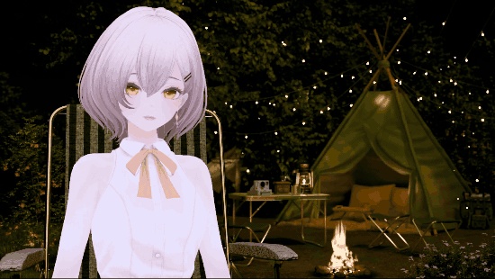 Firelight Camp Background (With Looping Video / 5 Colors)