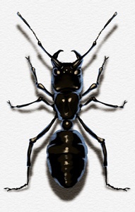 Ib絵画風ICカードステッカー