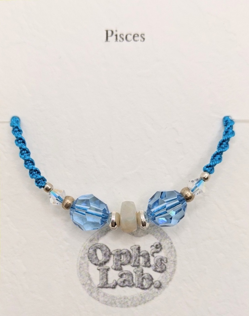 十四人の記憶のブレスレット