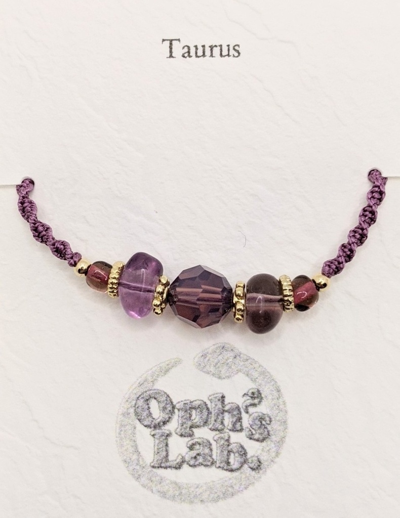 十四人の記憶のブレスレット