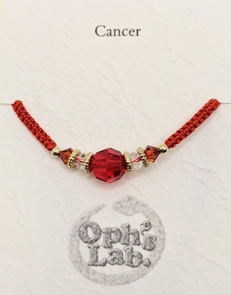 十四人の記憶のブレスレット