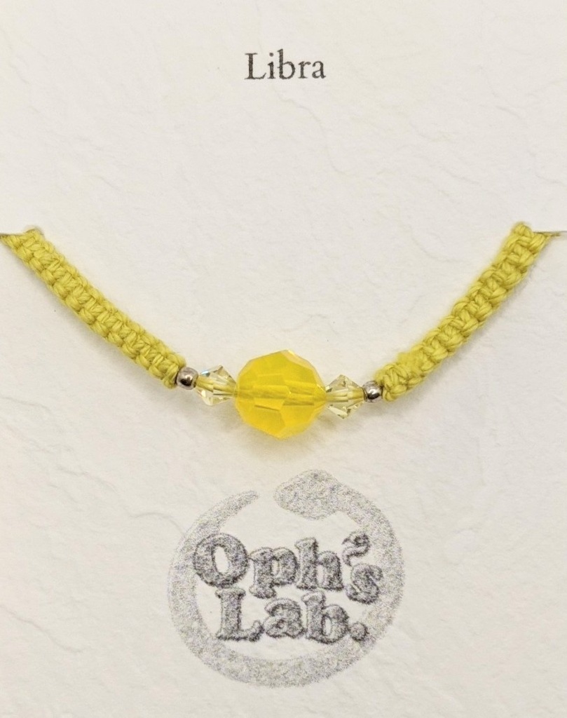 十四人の記憶のブレスレット