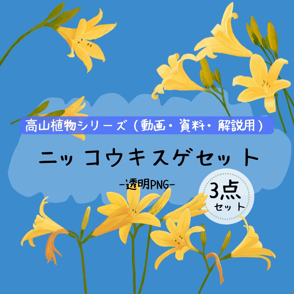 ニッコウキスゲのイラスト