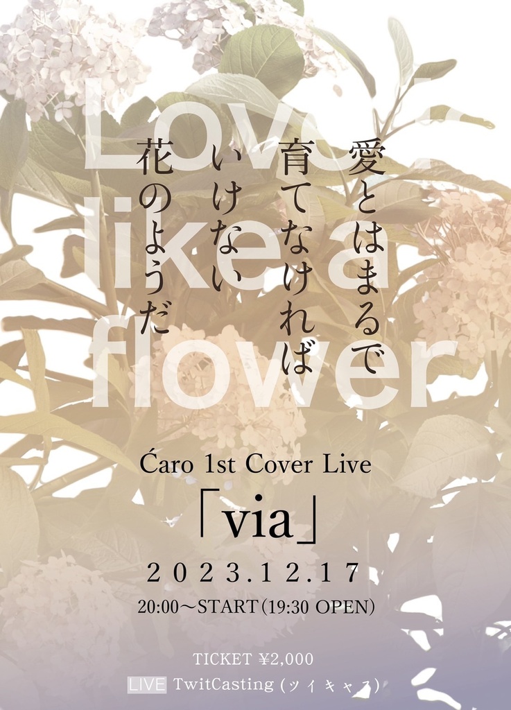 Ćaro 1st Cover Live 「via」- Archive Movie
