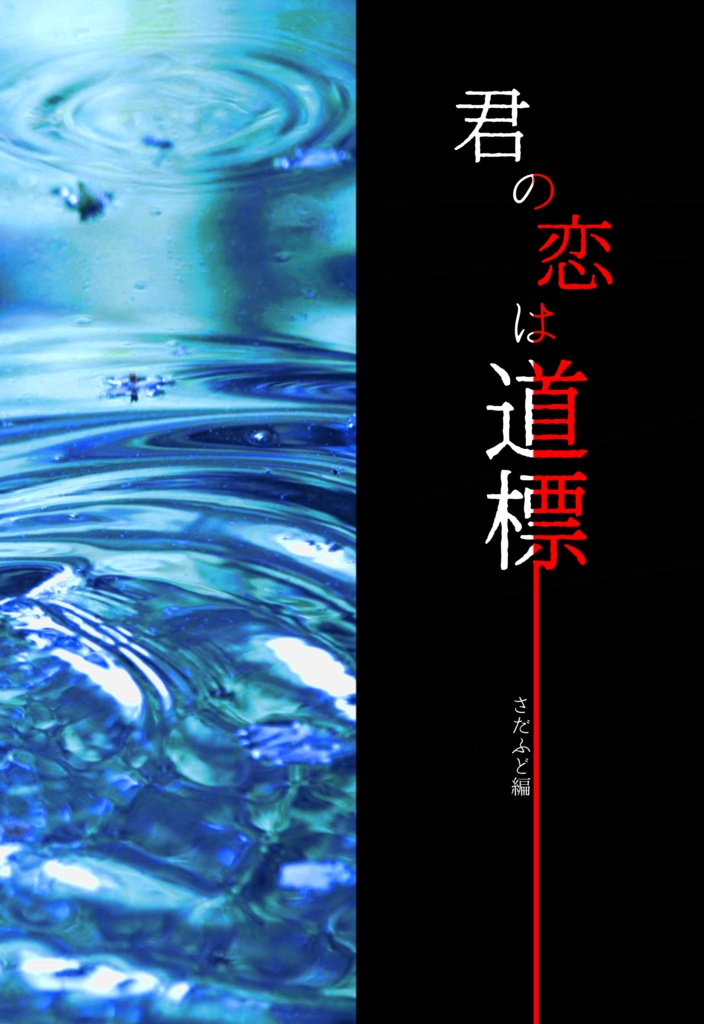 君の恋は道標　さだふど編