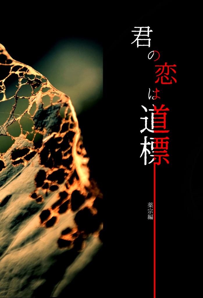 君の恋は道標　薬宗編