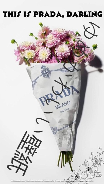 プラダの壁紙