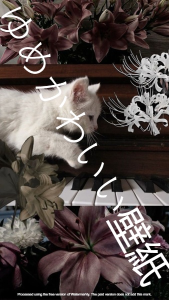 フローラルドリーム壁紙