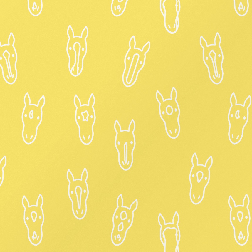 Horse Face 馬の顔 メガネ拭き