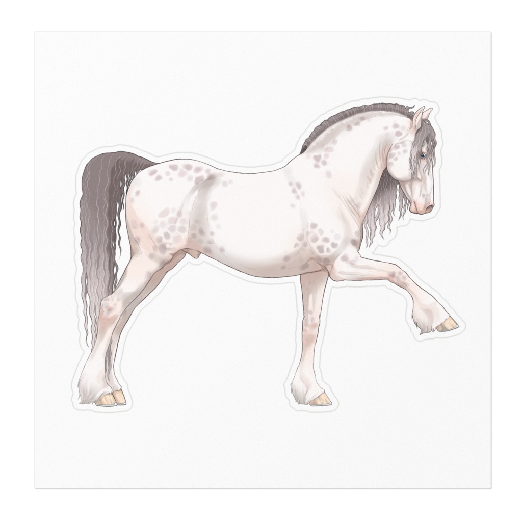 DAPPLE GRAY DRAFT 連銭芦毛っぽいばん馬