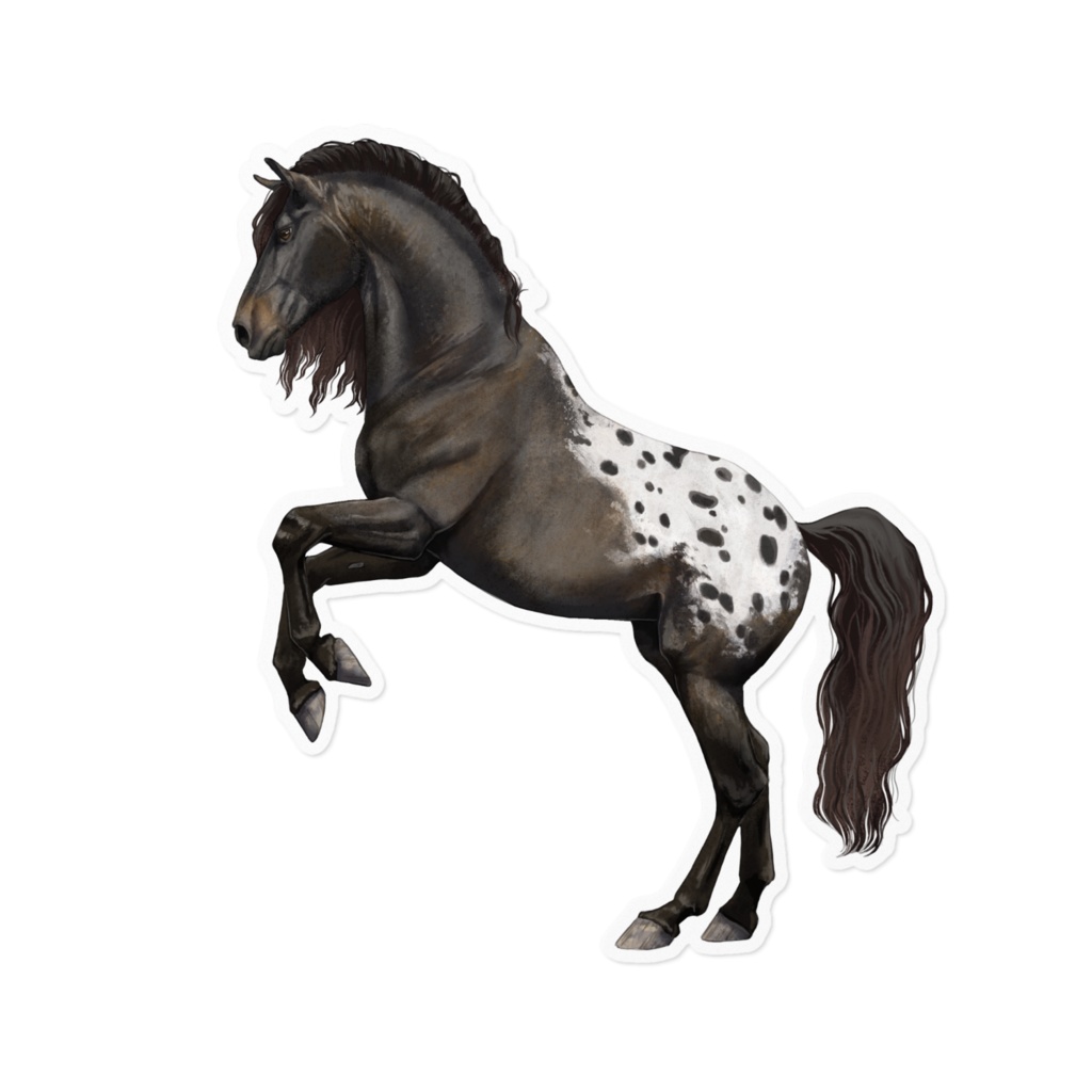 Appaloosa horse sticker アパステッカー