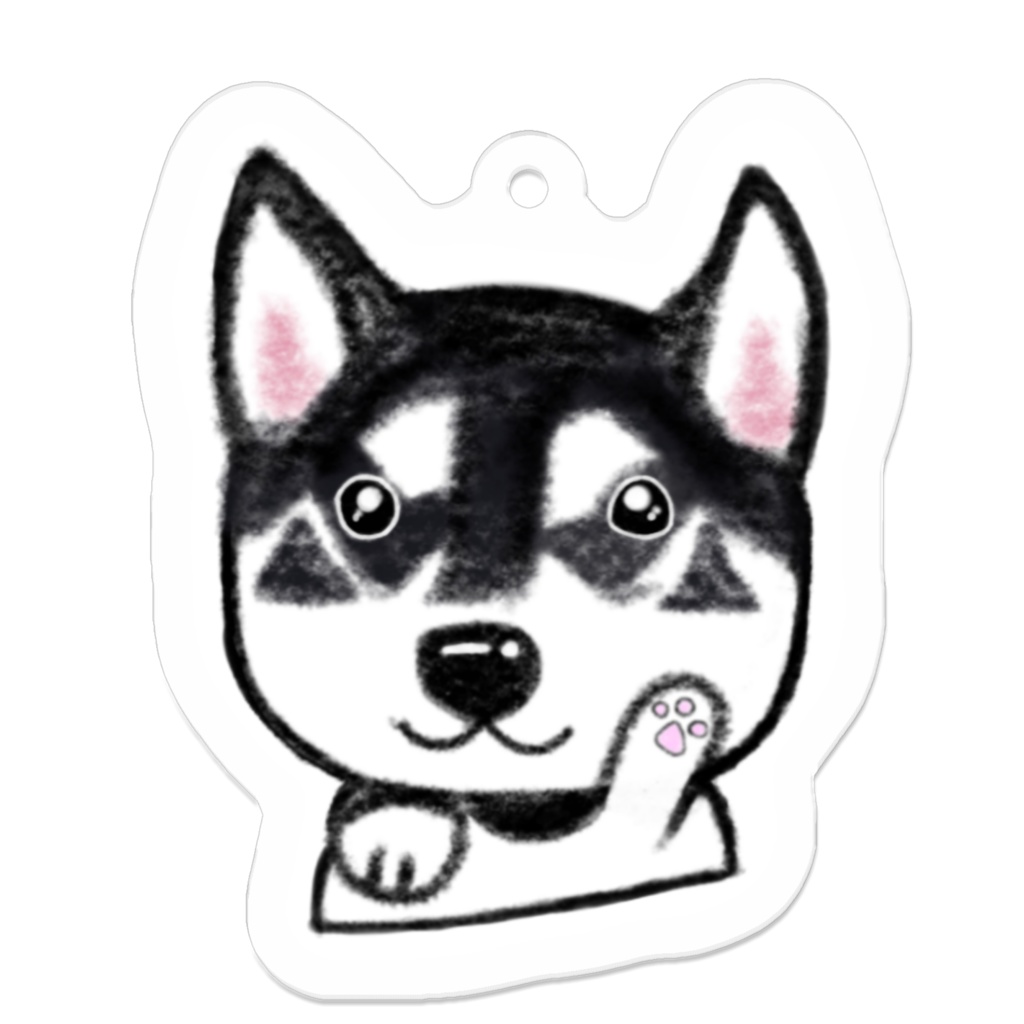 柴犬🐾