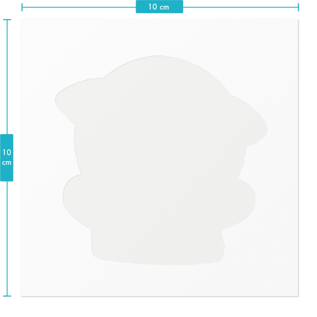 マルチーズ×ポメラニアン🐾