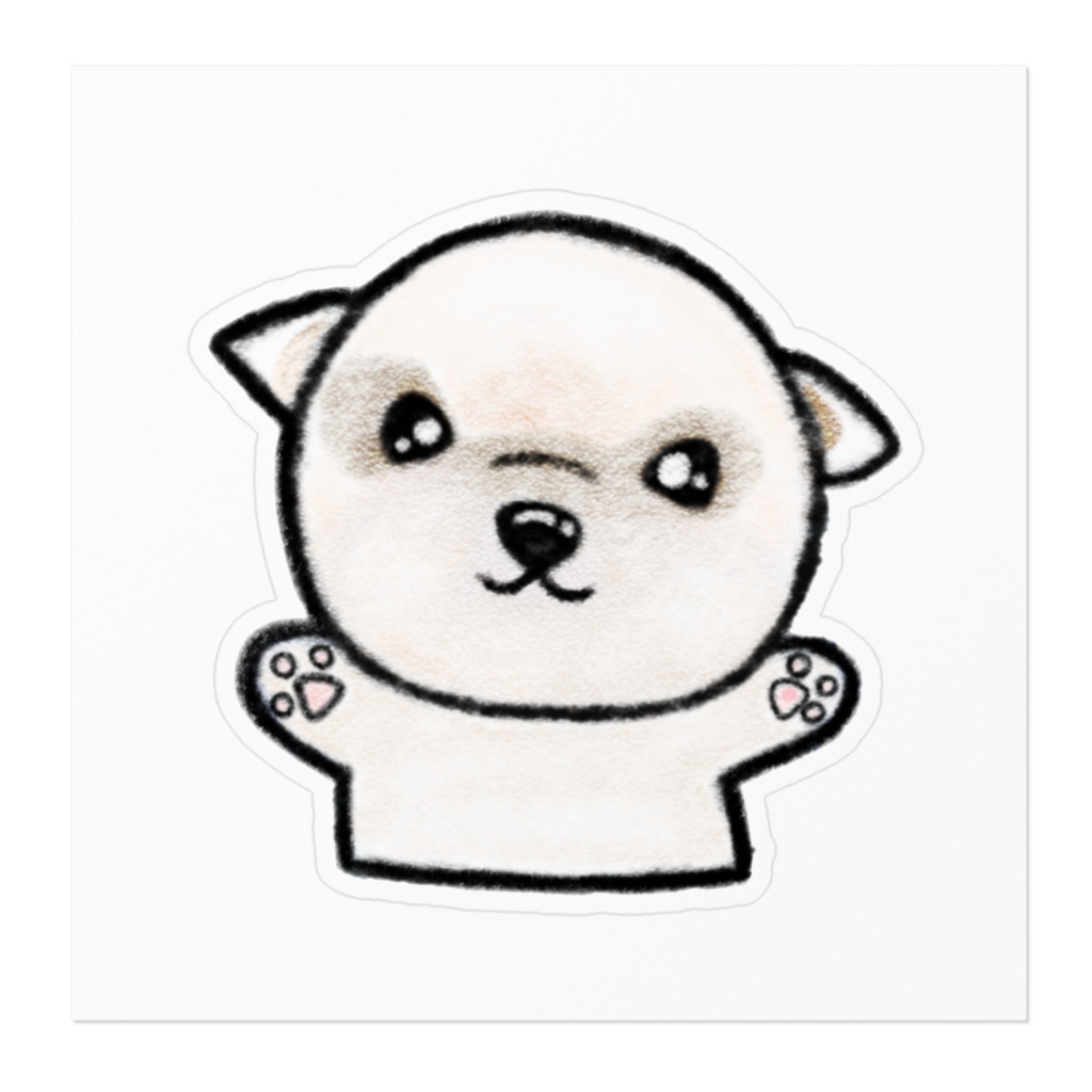 マルチーズ×ポメラニアン🐾