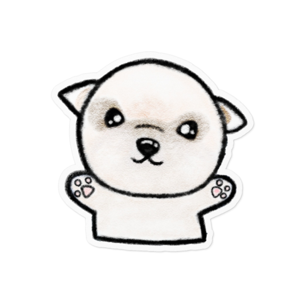 マルチーズ×ポメラニアン🐾