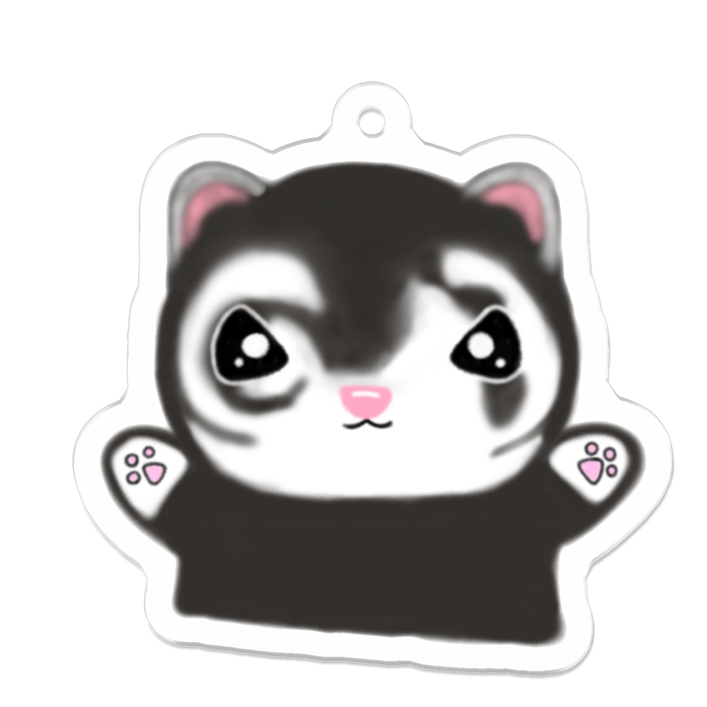 フェレット🐾