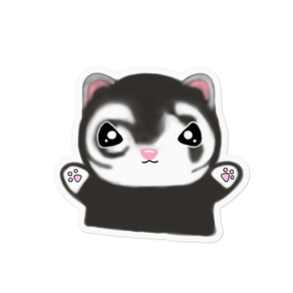 フェレット🐾