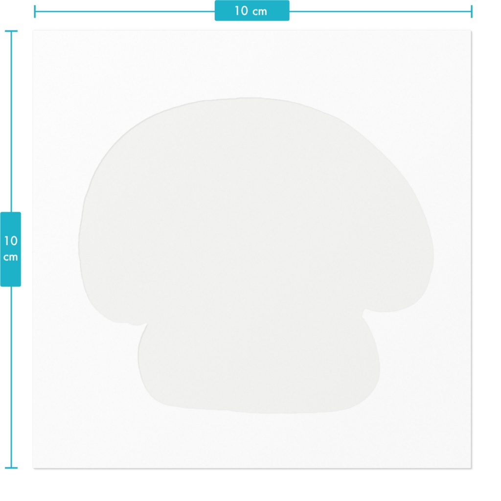 ミニチュアダックスフンド