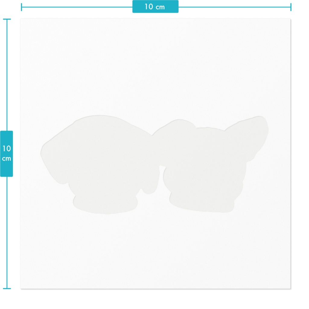 ジャックラッセルテリア🐾