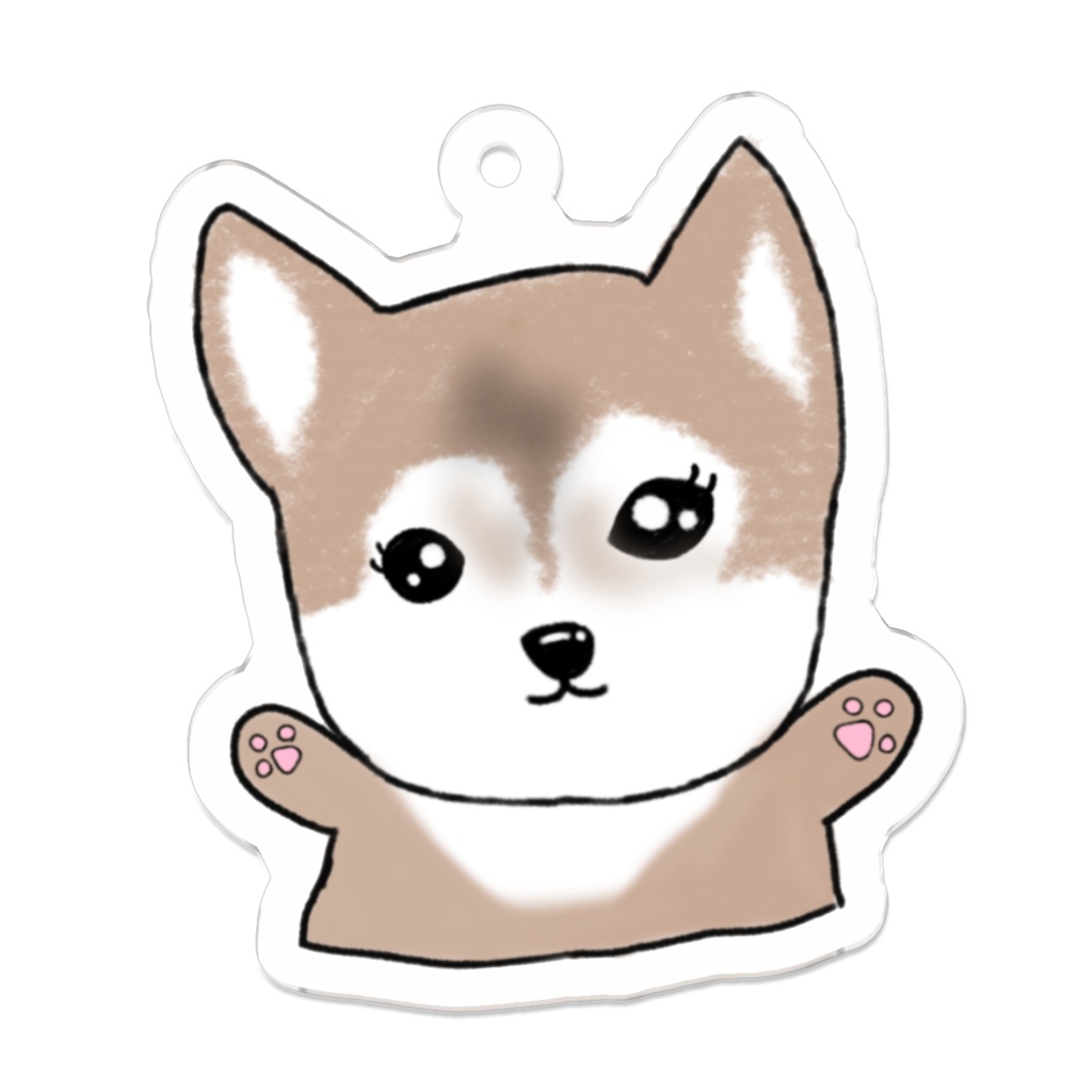 柴犬🐾