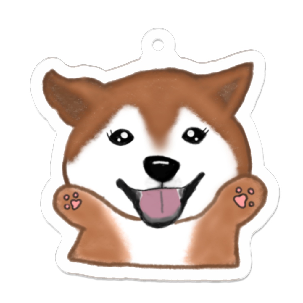 柴犬🐾