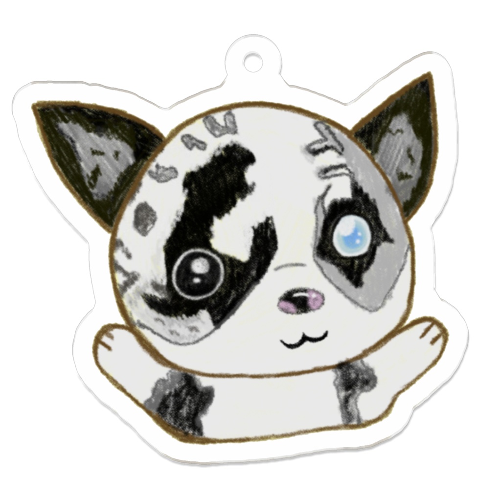 ボーダーコリー🐾