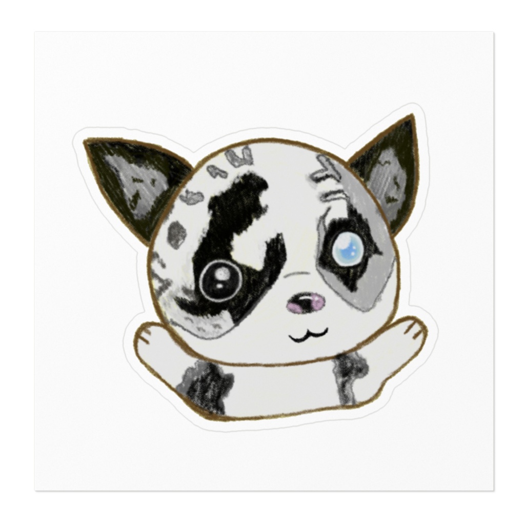 ボーダーコリー🐾