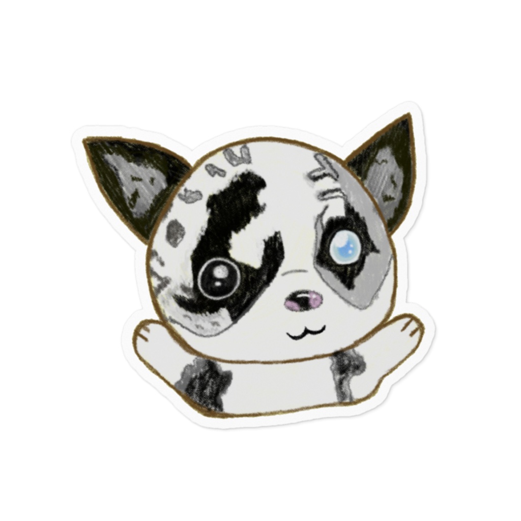 ボーダーコリー🐾