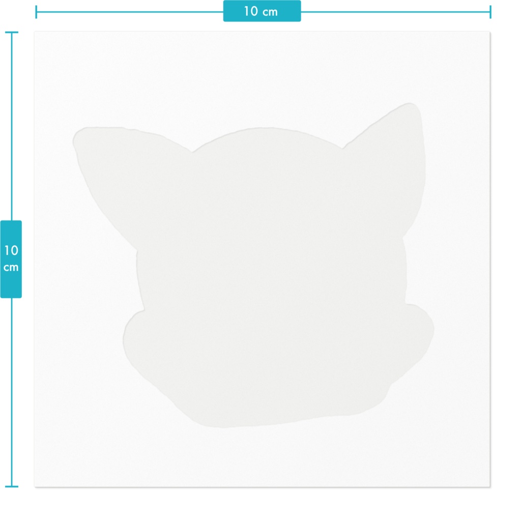 ボーダーコリー🐾