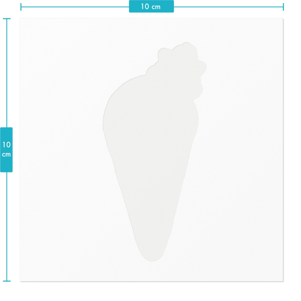 メロン味のアイス🍨ファンシーラット