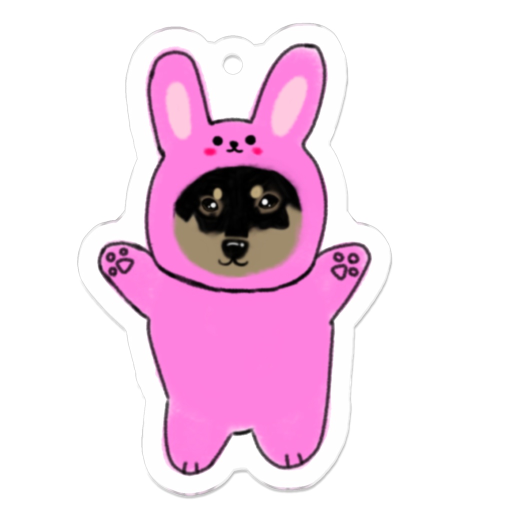 なりきりウサギさん🐰柴犬