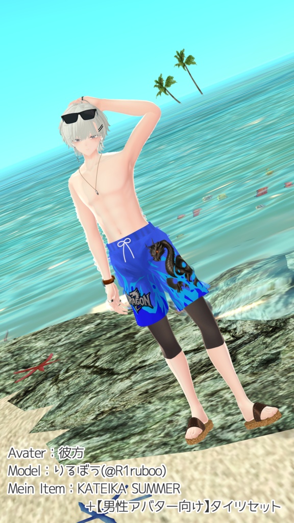 【男性アバター向け水着】KATEIKA SUMMER/家庭科サマー【MA対応】