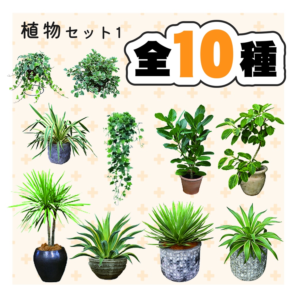 植木鉢・観葉植物・植物セット1
