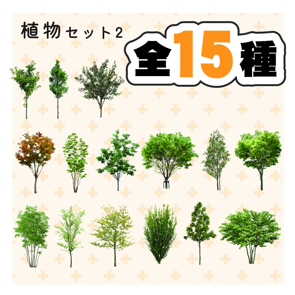 植木鉢・観葉植物・植物セット2