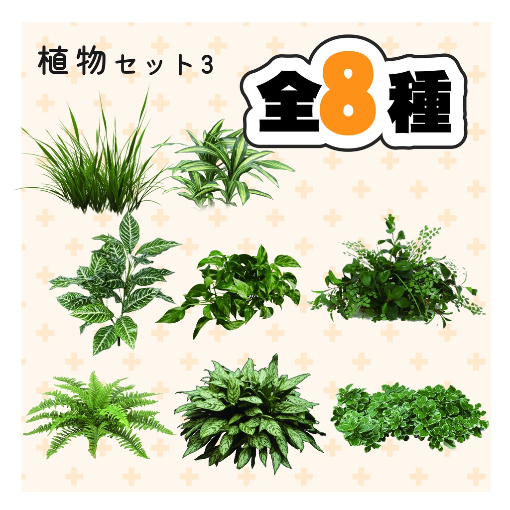 観葉植物・植物セット3