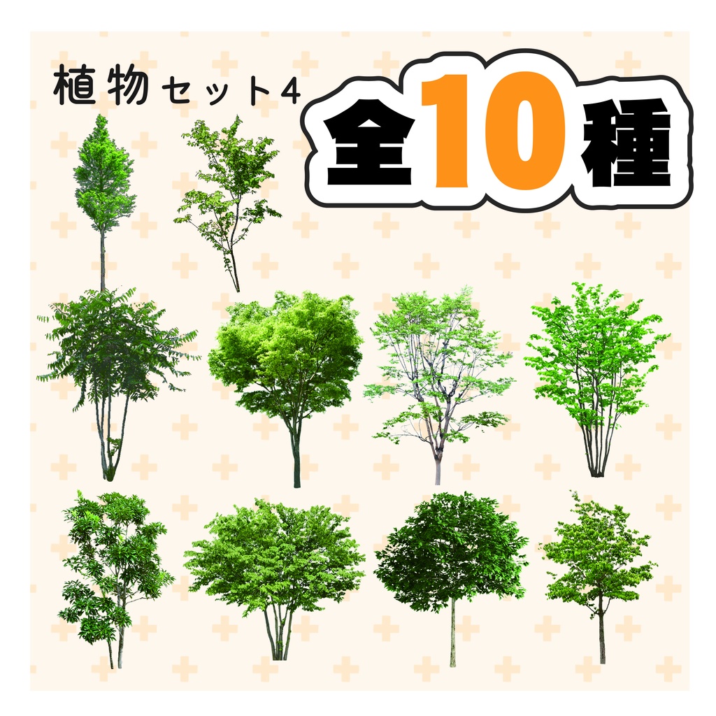 木・植木・観葉植物・植物セット4