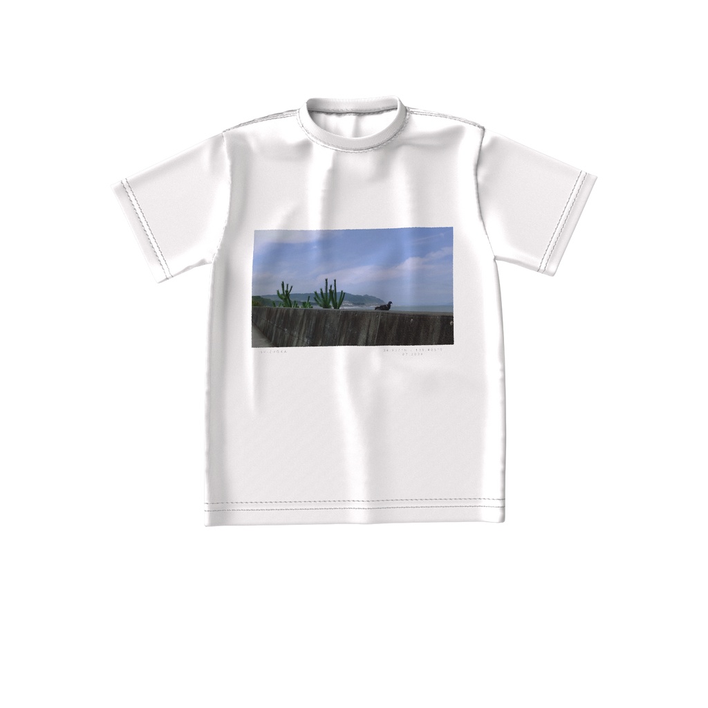 堤防のハト ビッグシルエットTシャツ