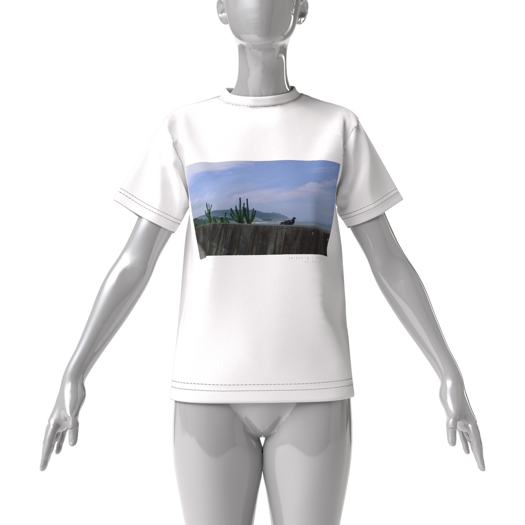 堤防のハト ビッグシルエットTシャツ