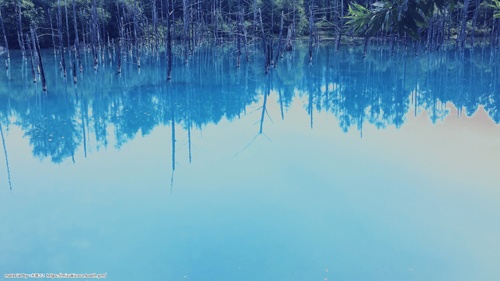 YouTube用背景素材(青い池)