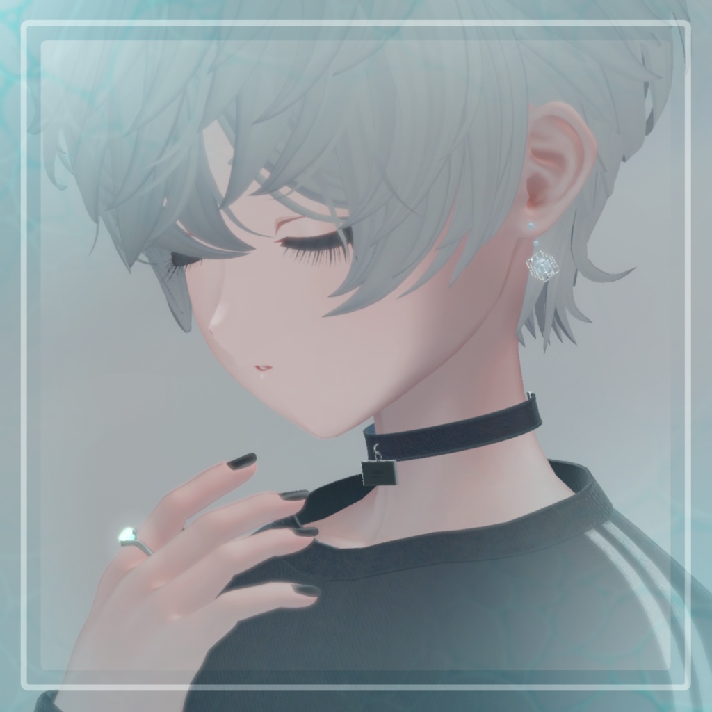 CageH2O AccessorySet