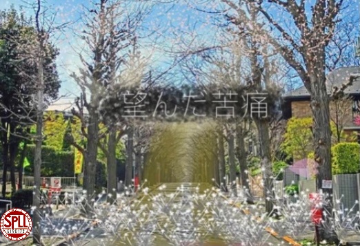 望んだ苦痛　SPLL E190172