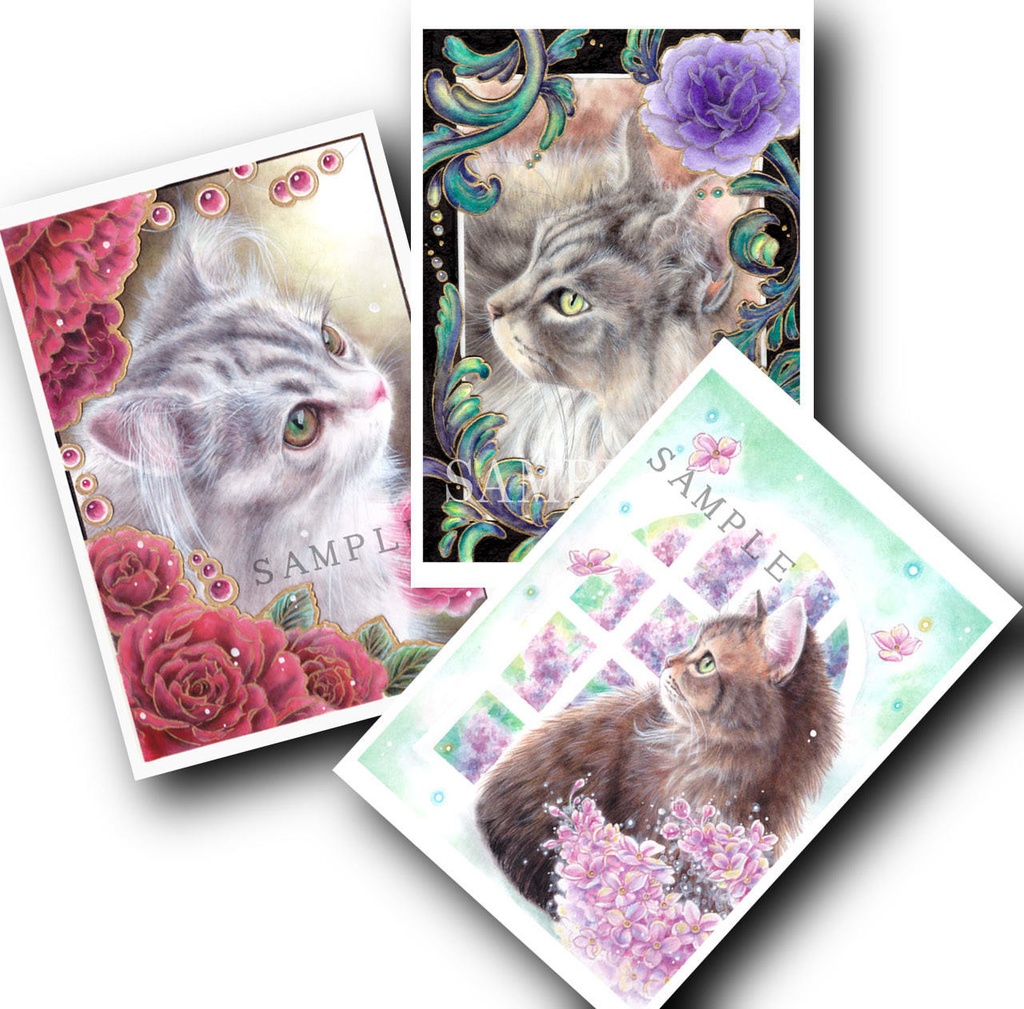 ポストカードC (３枚セット)