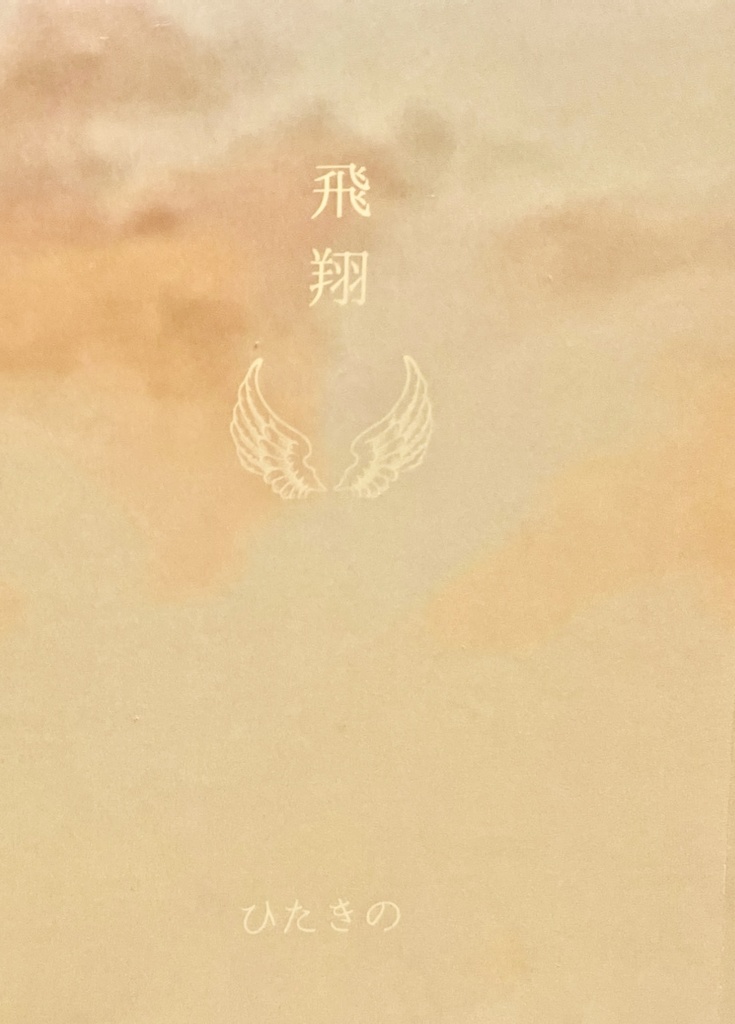 飛翔