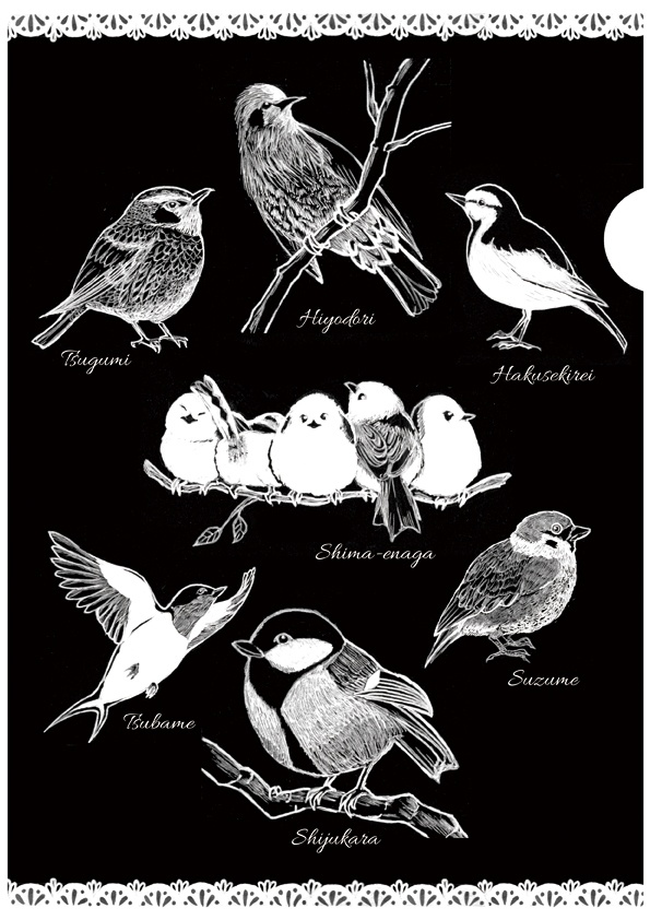 クリアファイル 野鳥