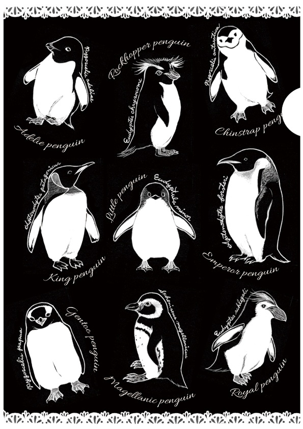クリアファイル ペンギン